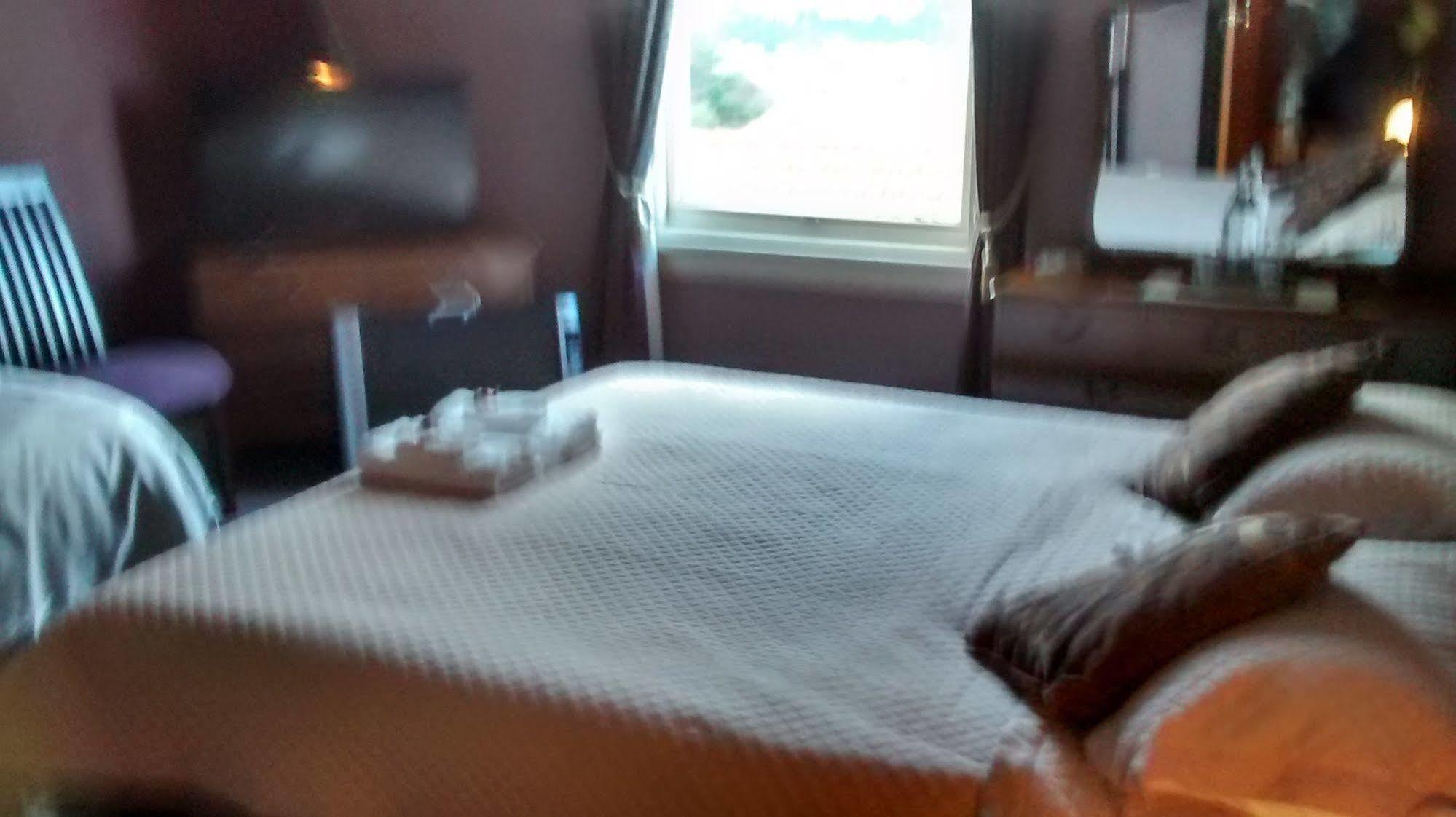 Grandview Bed & Breakfast ダニーデン エクステリア 写真